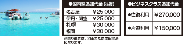 国内線追加代金・ビジネスクラス追加代金
