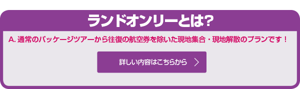 ランドオンリーとは?