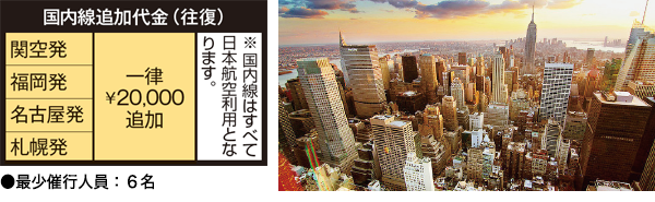 国内線追加代金(往復)