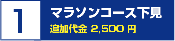 １．マラソンコース下見　追加料金 2,500円