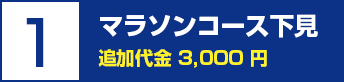 １．マラソンコース下見　追加料金 3,000円