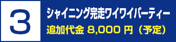 ３．シャイニング完走ワイワイパーティー　追加料金 8,000円（予定）