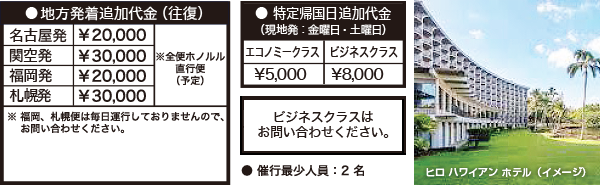 地方発着追加代金（往復）、特定帰国日追加代金