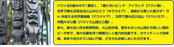 ハワイ全6島の中で1番若く、1番大きいビッグ・アイランド（ハワイ島）。
世界で最も活発な活火山のひとつ（キラウエア）、海底から測った高さが1 万m を超える世界最高峰（マウナケア）、世界で最も巨大な山（マウナロア）、州最大の公園（ハワイ火山国立公園）。
また、緑の生い茂る熱帯雨林、火山性砂漠、雪をかぶった山頂から美しい黒砂ビーチまで、様々な顔を持つ素晴らしく魅力的な島です。ロマンティックな時間、あまり知られていない穴場、どちらもお楽しみいただけます。