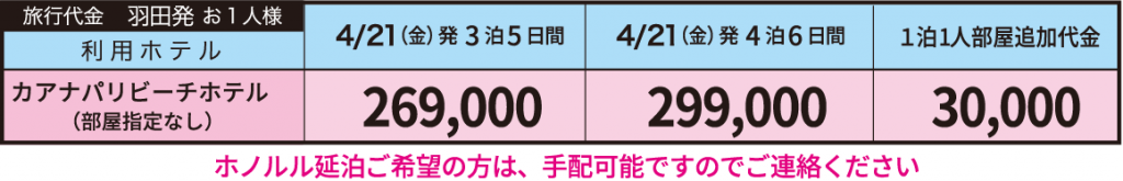 旅行代金　羽田発　お1人様